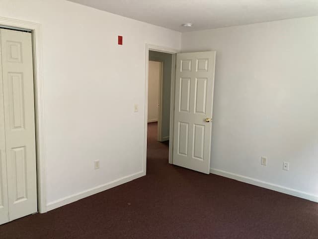More photos